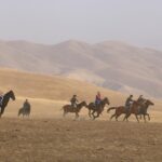 people riding camels on brown field during daytime