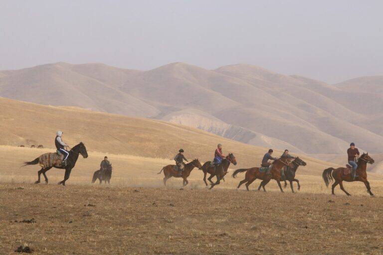 people riding camels on brown field during daytime